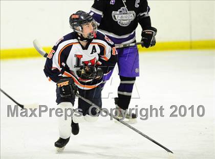 Thumbnail 2 in North Branford @ Lyman Hall photogallery.