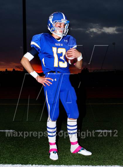 Thumbnail 1 in South Hills @ Charter Oak photogallery.