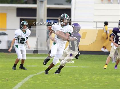 Thumbnail 2 in JV: Weeki Wachee @ Hernando  photogallery.