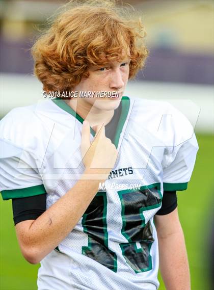 Thumbnail 3 in JV: Weeki Wachee @ Hernando  photogallery.