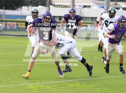 Thumbnail 3 in JV: Weeki Wachee @ Hernando  photogallery.