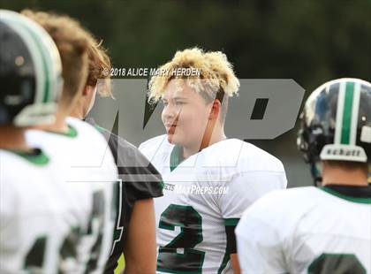 Thumbnail 3 in JV: Weeki Wachee @ Hernando  photogallery.