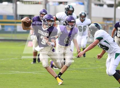 Thumbnail 2 in JV: Weeki Wachee @ Hernando  photogallery.