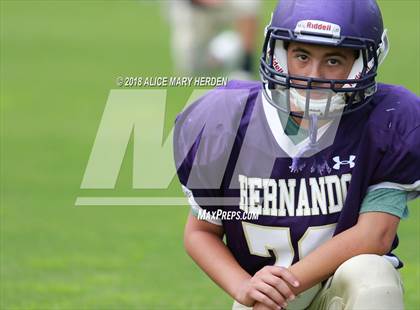 Thumbnail 2 in JV: Weeki Wachee @ Hernando  photogallery.