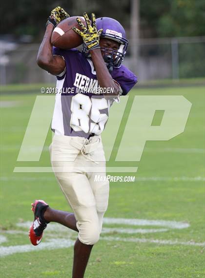 Thumbnail 3 in JV: Weeki Wachee @ Hernando  photogallery.