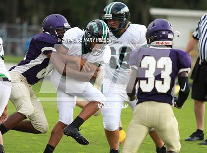 Thumbnail 3 in JV: Weeki Wachee @ Hernando  photogallery.