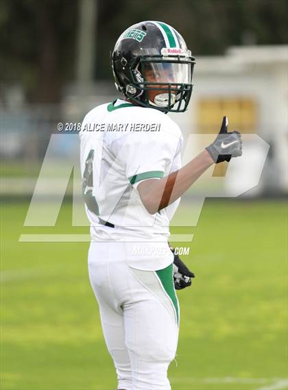 Thumbnail 3 in JV: Weeki Wachee @ Hernando  photogallery.