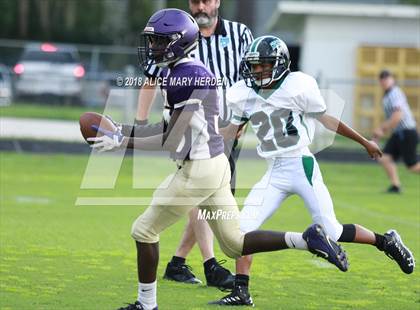 Thumbnail 3 in JV: Weeki Wachee @ Hernando  photogallery.