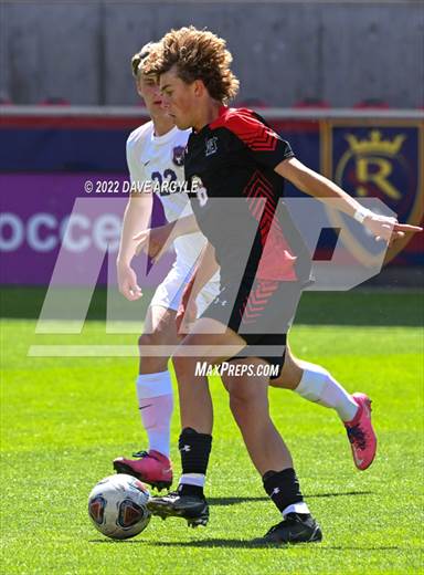 null - Photo 01