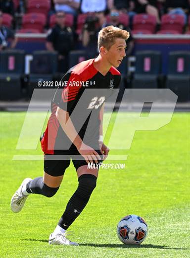 null - Photo 01