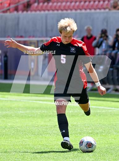 null - Photo 01