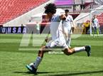 Photo from the gallery "Lehi vs. Alta (UHSAA 5A Final)"