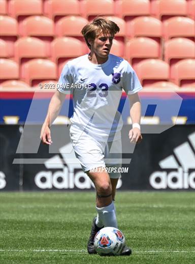 null - Photo 11