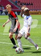 Photo from the gallery "Lehi vs. Alta (UHSAA 5A Final)"