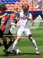 Photo from the gallery "Lehi vs. Alta (UHSAA 5A Final)"