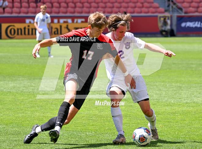 null - Photo 01