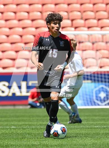 null - Photo 11