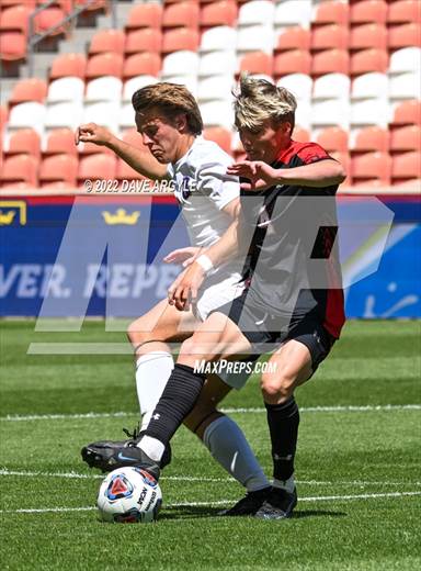null - Photo 11