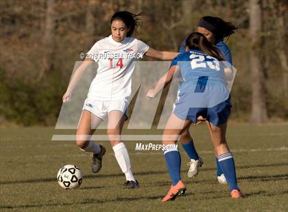 Thumbnail 1 in Norview @ Princess Anne photogallery.