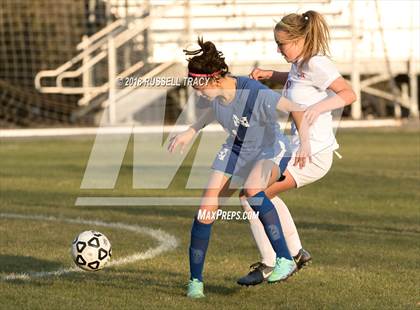 Thumbnail 2 in Norview @ Princess Anne photogallery.