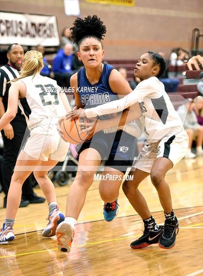 Thumbnail 1 in Spring Valley @ Faith Lutheran (NIAA 5A Quarterfinals) photogallery.