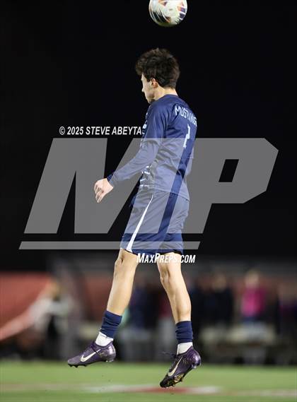 Thumbnail 3 in Cherokee Trail @ Ralston Valley (CHSAA 5A Semifinals) photogallery.