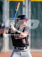 Photo from the gallery "Red Mountain @ Sunnyslope"