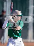 Photo from the gallery "Red Mountain @ Sunnyslope"