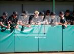 Photo from the gallery "Red Mountain @ Sunnyslope"