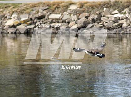 Thumbnail 1 in Loveland Invitational photogallery.