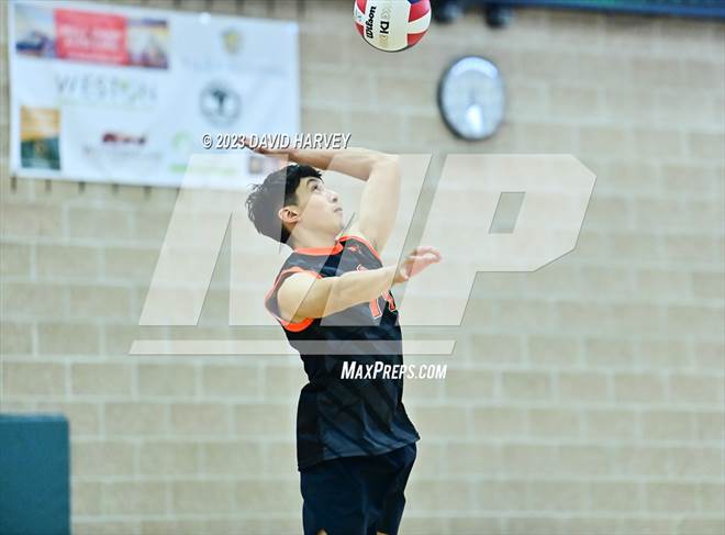 null - Photo 21