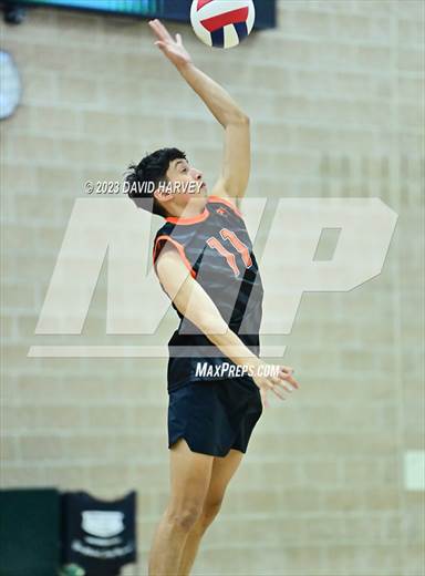 null - Photo 11