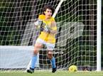 Photo from the gallery "Panther Creek @ Apex"