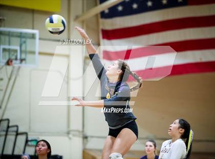 Thumbnail 1 in Armijo @ Napa photogallery.