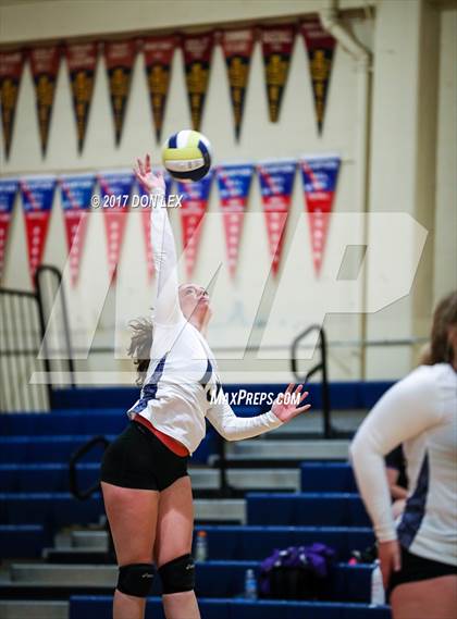 Thumbnail 2 in Armijo @ Napa photogallery.