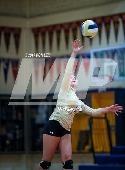 Thumbnail 3 in Armijo @ Napa photogallery.