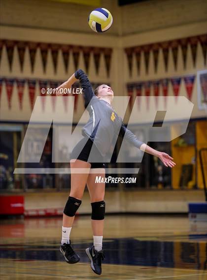 Thumbnail 3 in Armijo @ Napa photogallery.