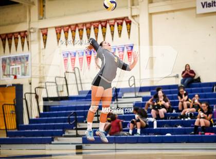 Thumbnail 1 in Armijo @ Napa photogallery.