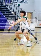 Photo from the gallery "Niwot @ Mountain View"