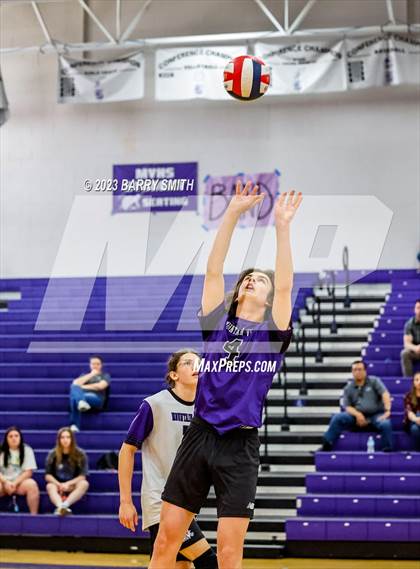 Thumbnail 1 in Niwot @ Mountain View photogallery.