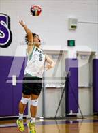 Photo from the gallery "Niwot @ Mountain View"