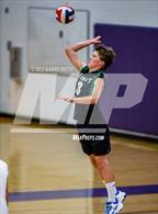 Photo from the gallery "Niwot @ Mountain View"