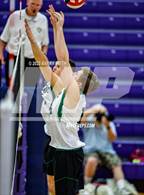 Photo from the gallery "Niwot @ Mountain View"