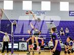 Photo from the gallery "Niwot @ Mountain View"