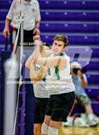 Photo from the gallery "Niwot @ Mountain View"