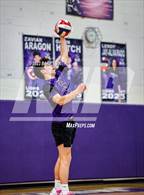 Photo from the gallery "Niwot @ Mountain View"