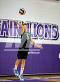 Photo from the gallery "Niwot @ Mountain View"