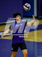 Photo from the gallery "Niwot @ Mountain View"