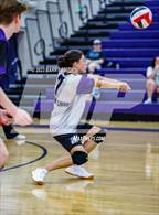 Photo from the gallery "Niwot @ Mountain View"