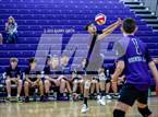 Photo from the gallery "Niwot @ Mountain View"